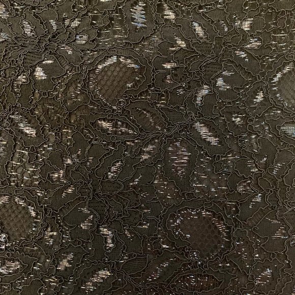 LIKE NEW BANANA REPUBLIC Navy Blue Dress w/Metallic Lace - Picture 9 of 9